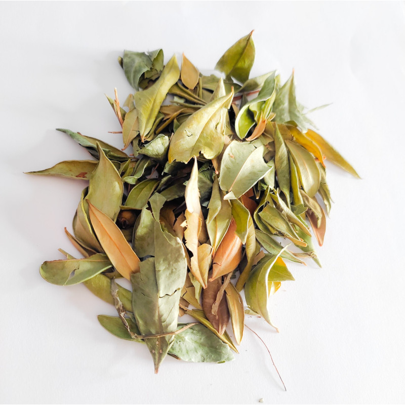 Dried Myrtle Leaves (Rihan) from Morocco - Purifying & Natural | BALLA