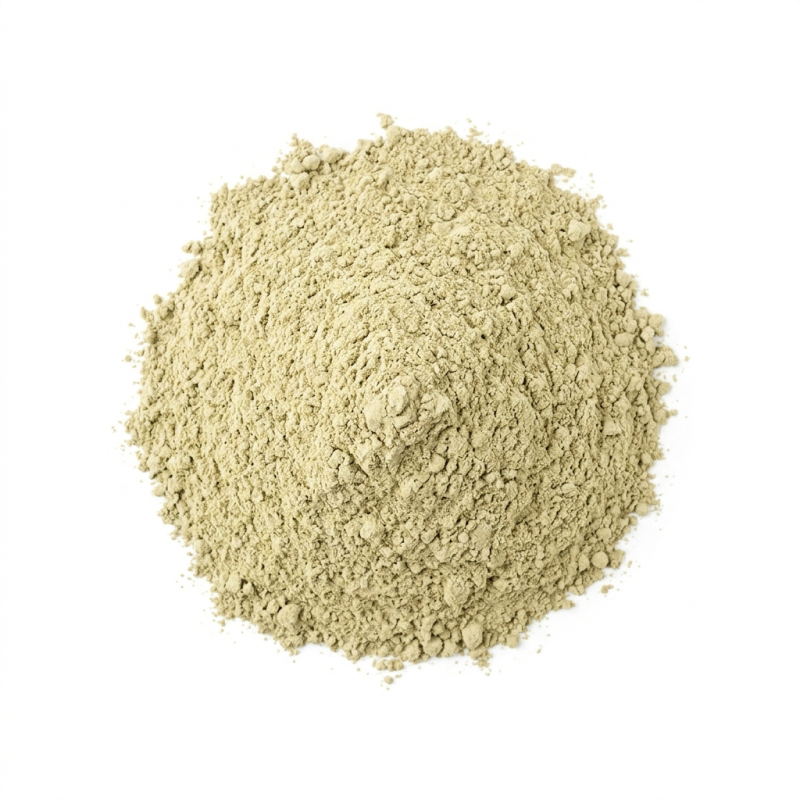 Le Shampoing Botanique Naturel Soin et Volume 100g