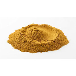 cataplasme-surmenage-rumination-multani-mitti-tulsi-curcuma