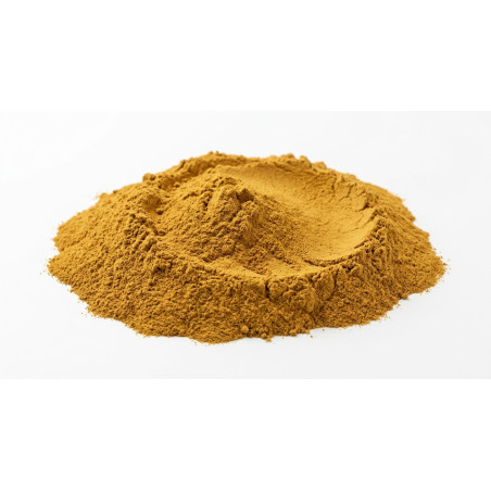 cataplasme-surmenage-rumination-multani-mitti-tulsi-curcuma
