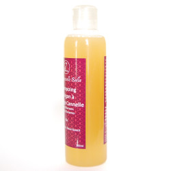 Shampoing d'argan parfumé à l'orange / cannelle Bio 200ml