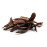 La Caroube en morceaux 100g bio