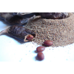 Caroube en poudre Complément alimentaire 100g
