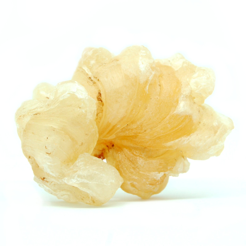 El Katira gomme Adragante Cochlospermum religiosum 100g bio et Naturelle
