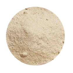 Poudre de Yacon Poire de terre Naturelle 50g