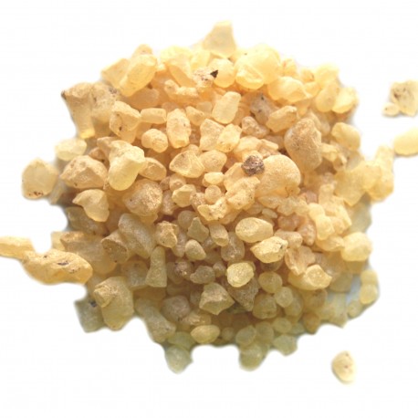 Résine de Boswellia serrata Louban 100g bio et Naturelle