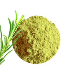 Poudre de Romarin séchés 50g bio et naturel