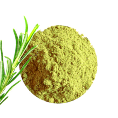 Poudre de Romarin séchés 50g bio et naturel