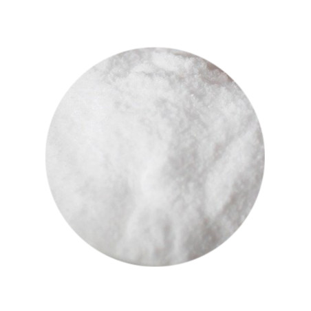 Bicarbonate de sodium 100g